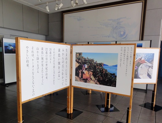 「瀬戸内、島想い」写真とコトバ展示