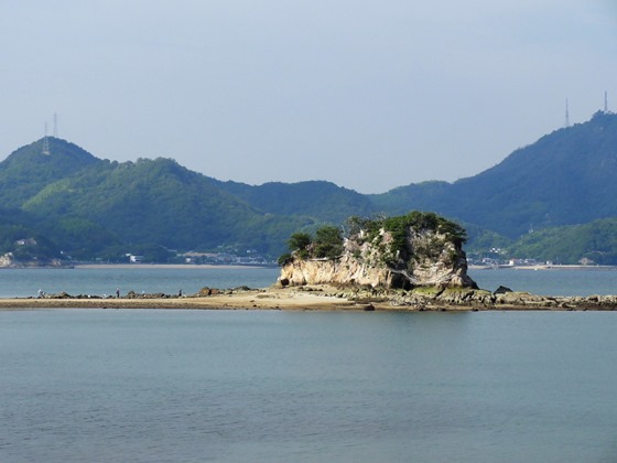 因島自然観察会　大浜の八重子島