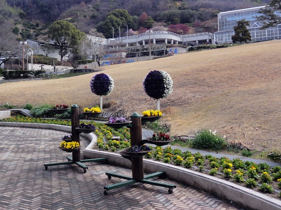 因島フラワーセンター「花いっぱい公園」に　年間通した活動始まる