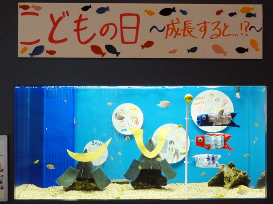 福山大学水族館　子供の日企画