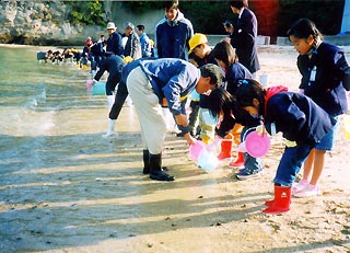 [11月23日] オニオコゼの稚魚放流　福山大と三庄小児童ら