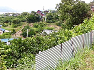 [9月20日] 島に生きる【47】生口島は千頭近く繁殖　農家はイノシシ被害深刻