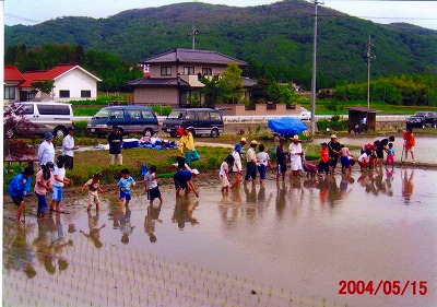 [5月22日] 因島の小学生ら　田植えを体験