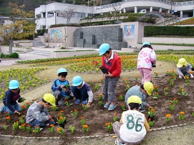 フラワーセンター　4月1日改装オープン　幼児が300本花植え