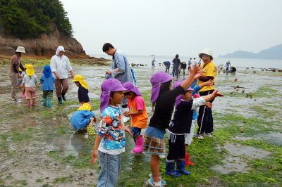 福山大学・因島漁協・大浜住民　2年目を迎え本格化した「里海」復活　アサリ放流調査