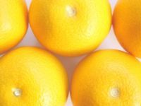 大三島しまなみ農園