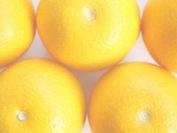 大三島しまなみ農園