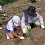 重井康和会　児童と芋苗植え